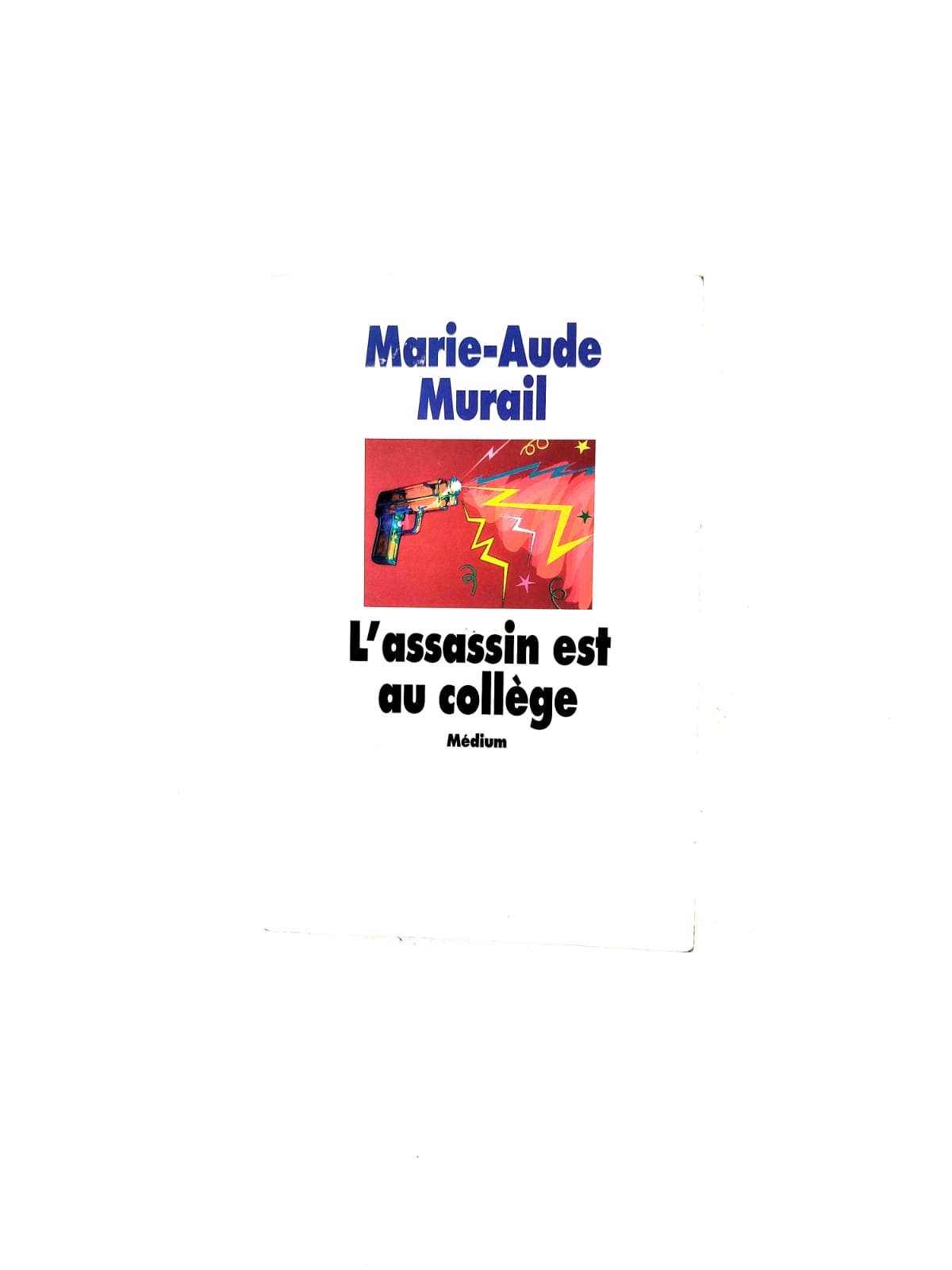 L'assasin est au collége by Marie Aude Murail