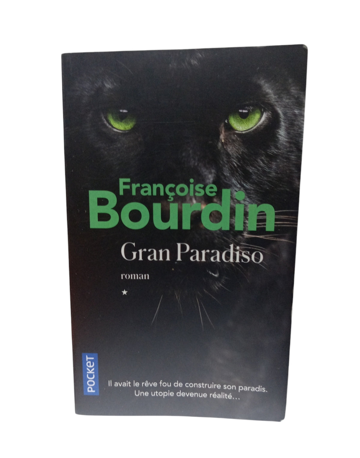 Gran paradiso by Françoise Bourdin