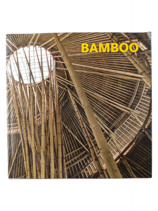 Bamboo