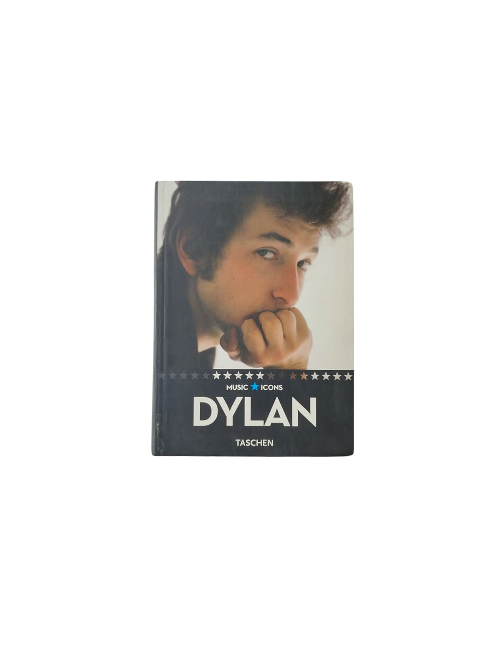 Music Icons Dylan by Luke Crampton