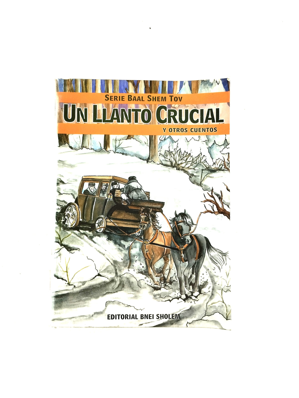 Un llanto crucial y otros cuentos by Serie Baal Shem tov