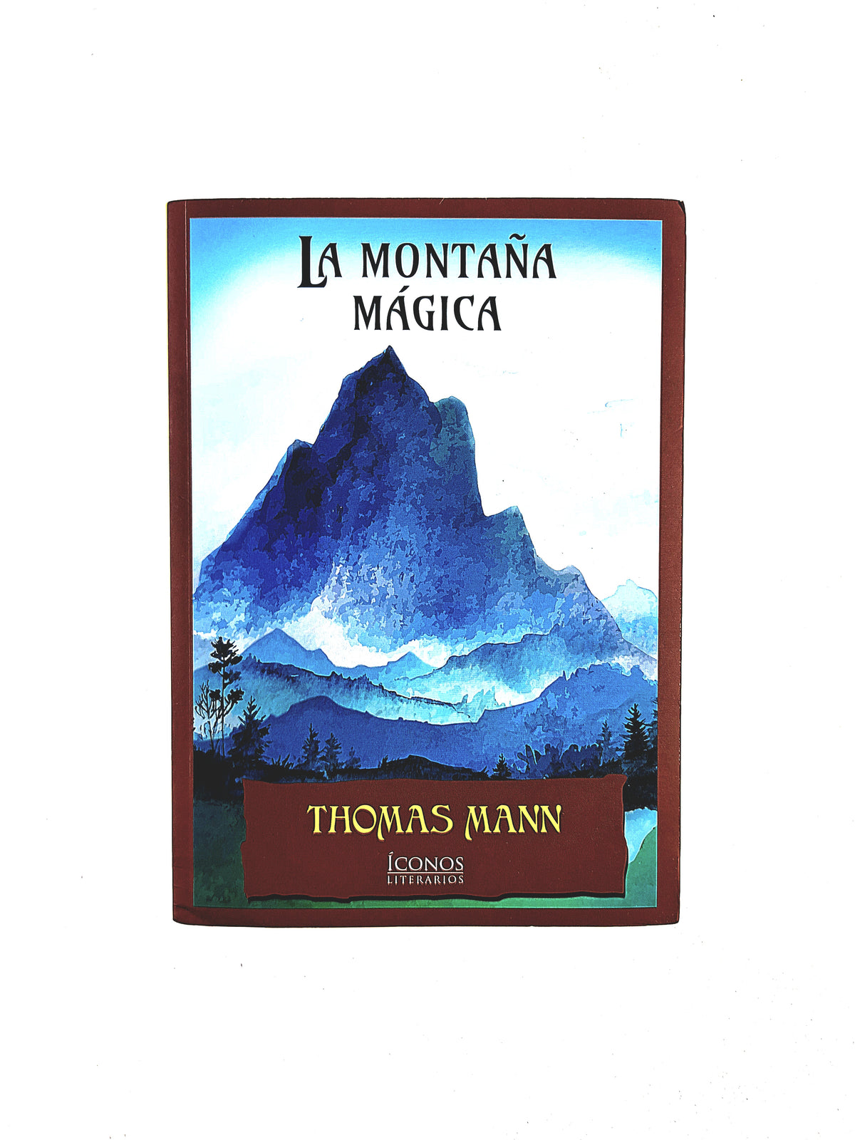 La Montaña Mágica by Thomas mann