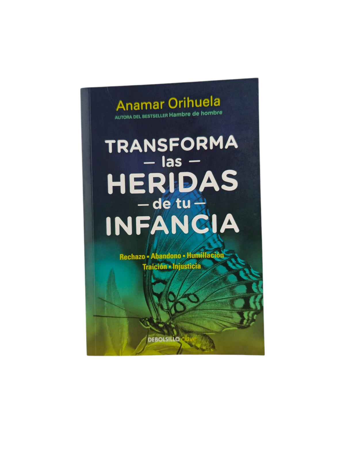 Transforma las heridas de tu infancia by Anamar Orihuela