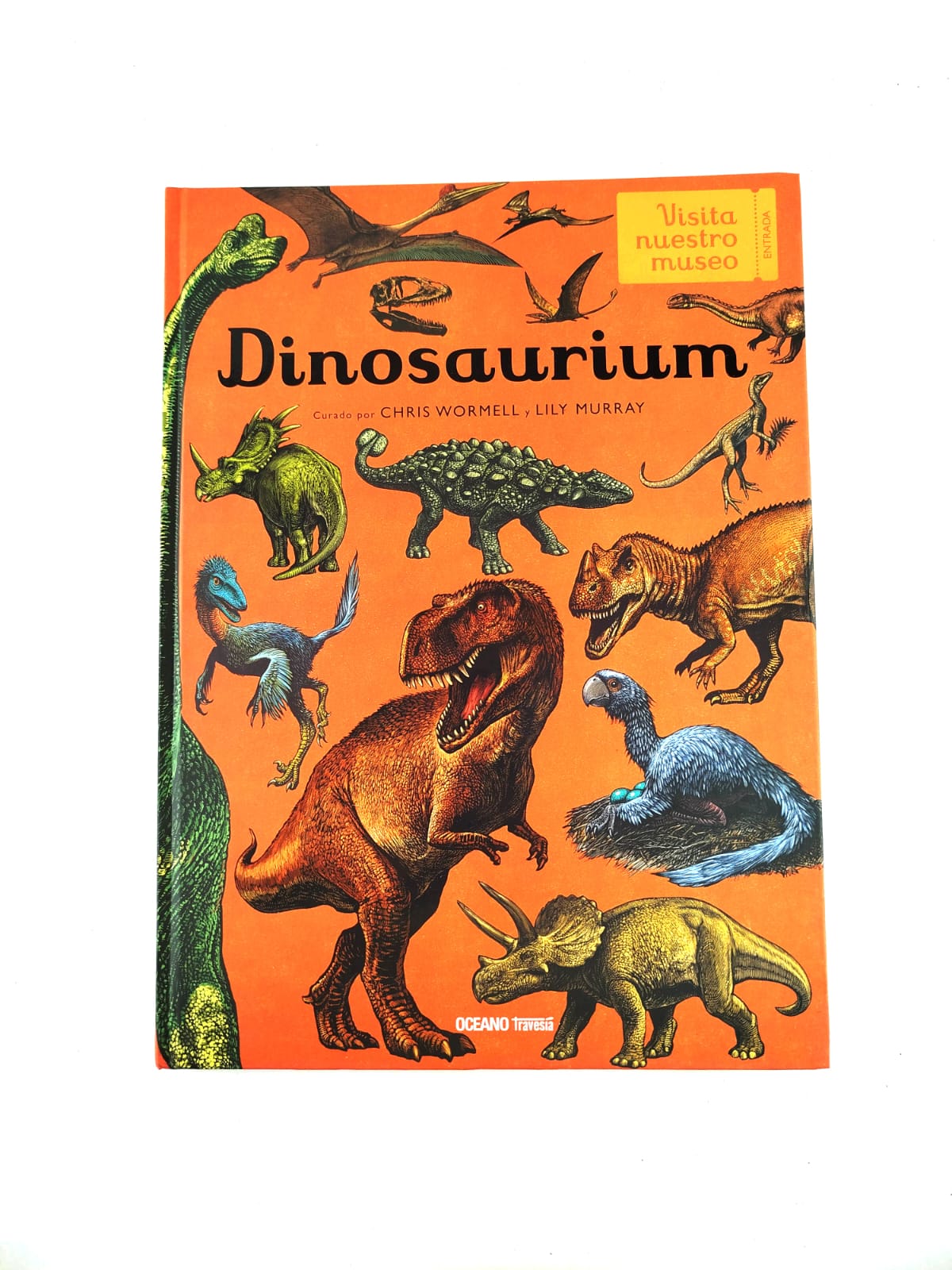 Dinosaurium by Lily Murray