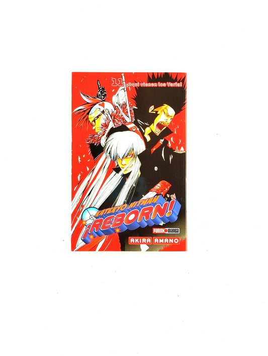 Katekyo hitman reborn N.11