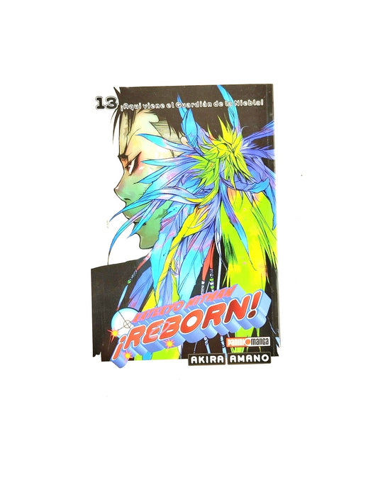 Katekyo hitman reborn N.13