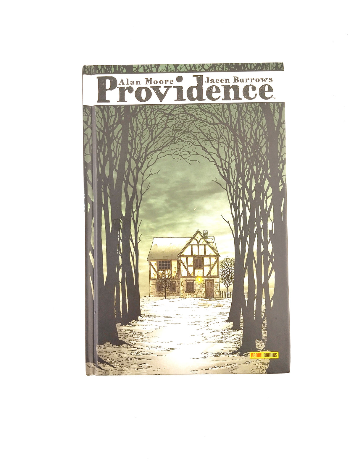 Providence N.2 by Alan More Jacen Burrows