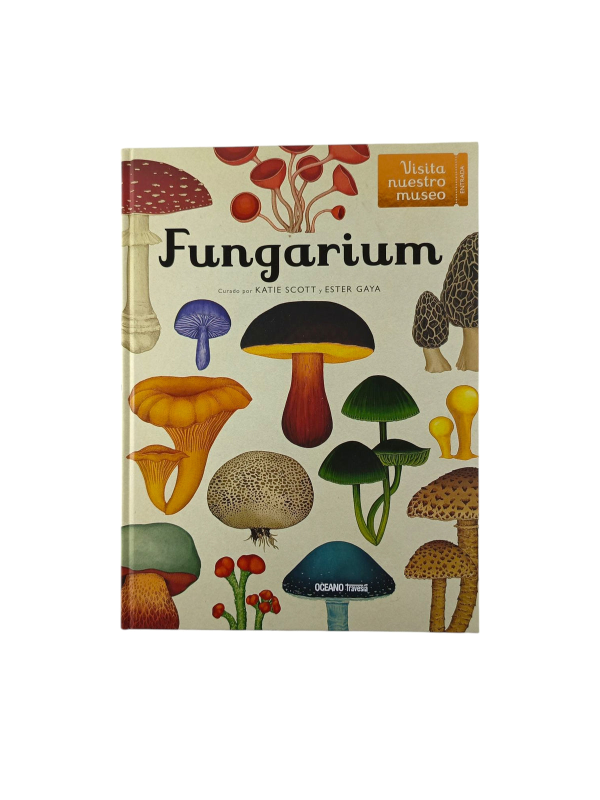 Fungarium by katie scott Y ester gaya