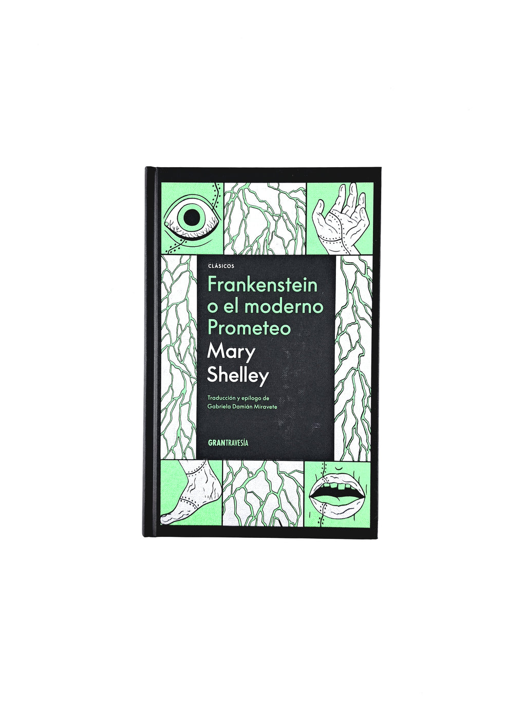 Frankenstein o el moderno Prometeo by Mary Shelley