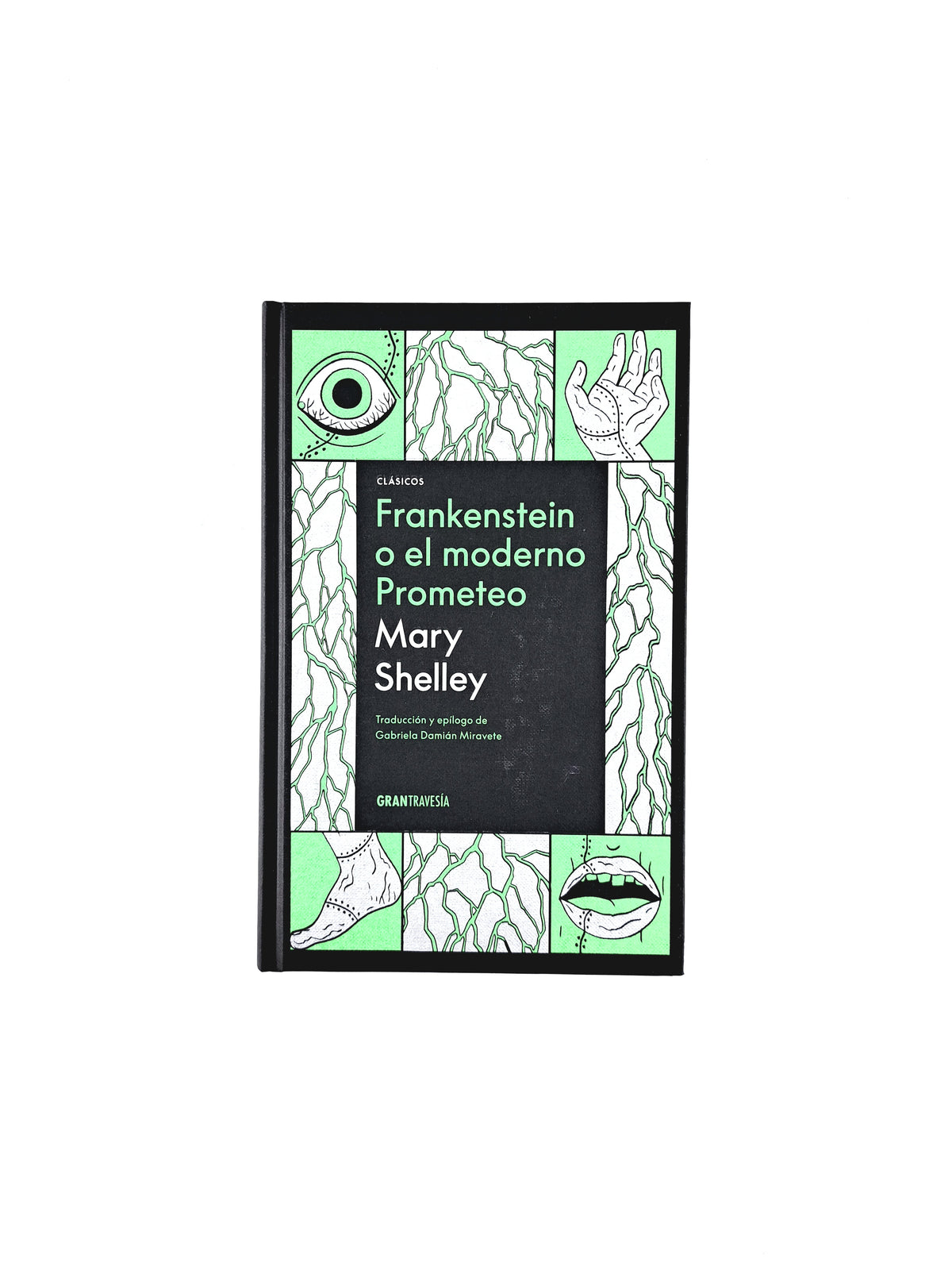 Frankenstein o el moderno Prometeo by Mary Shelley