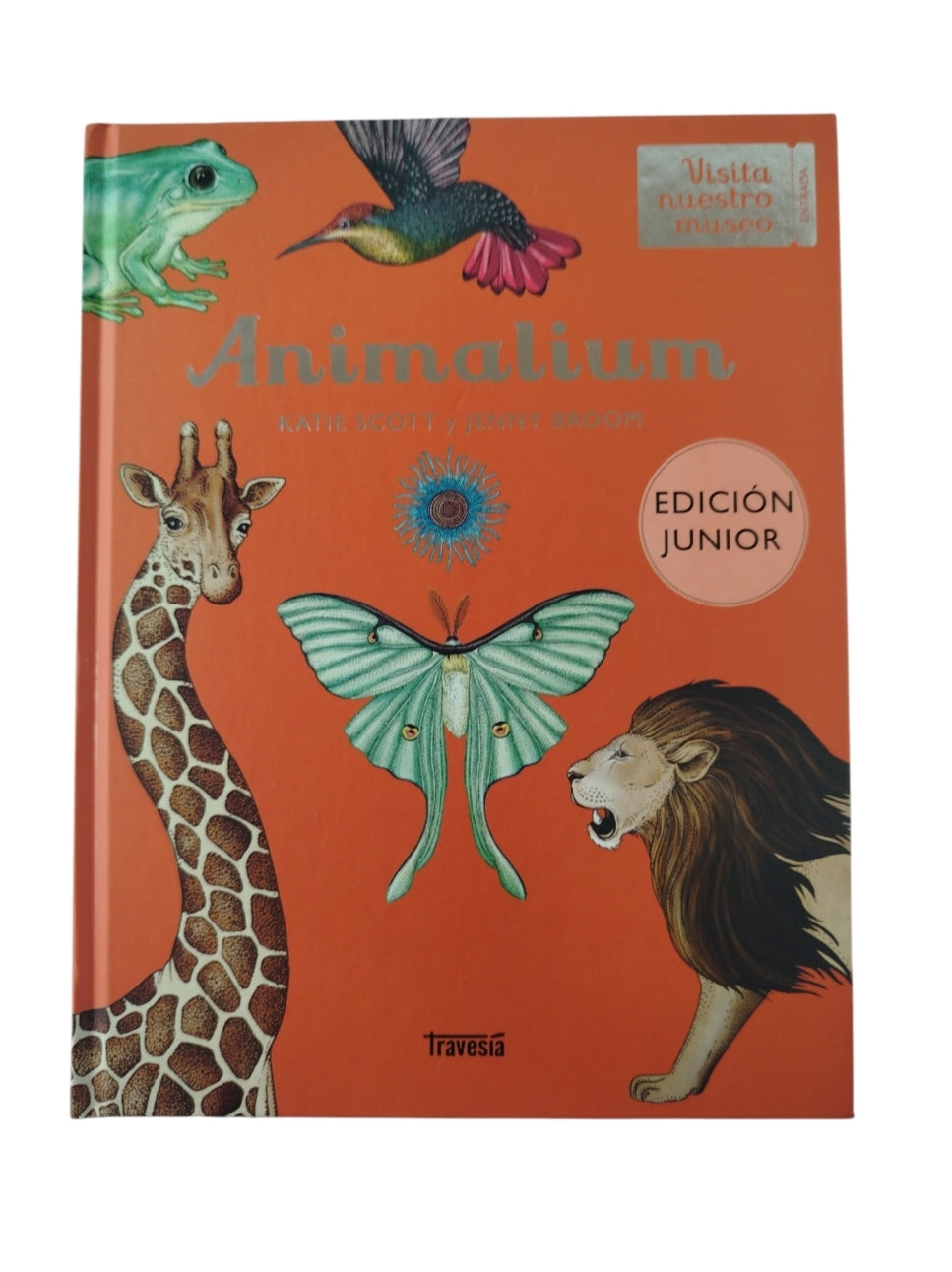 Animalium by Katie Scott