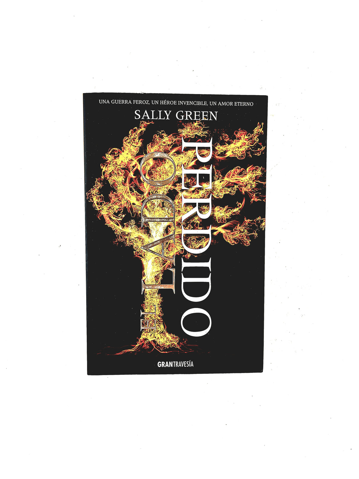El lado perdido by Sally Green