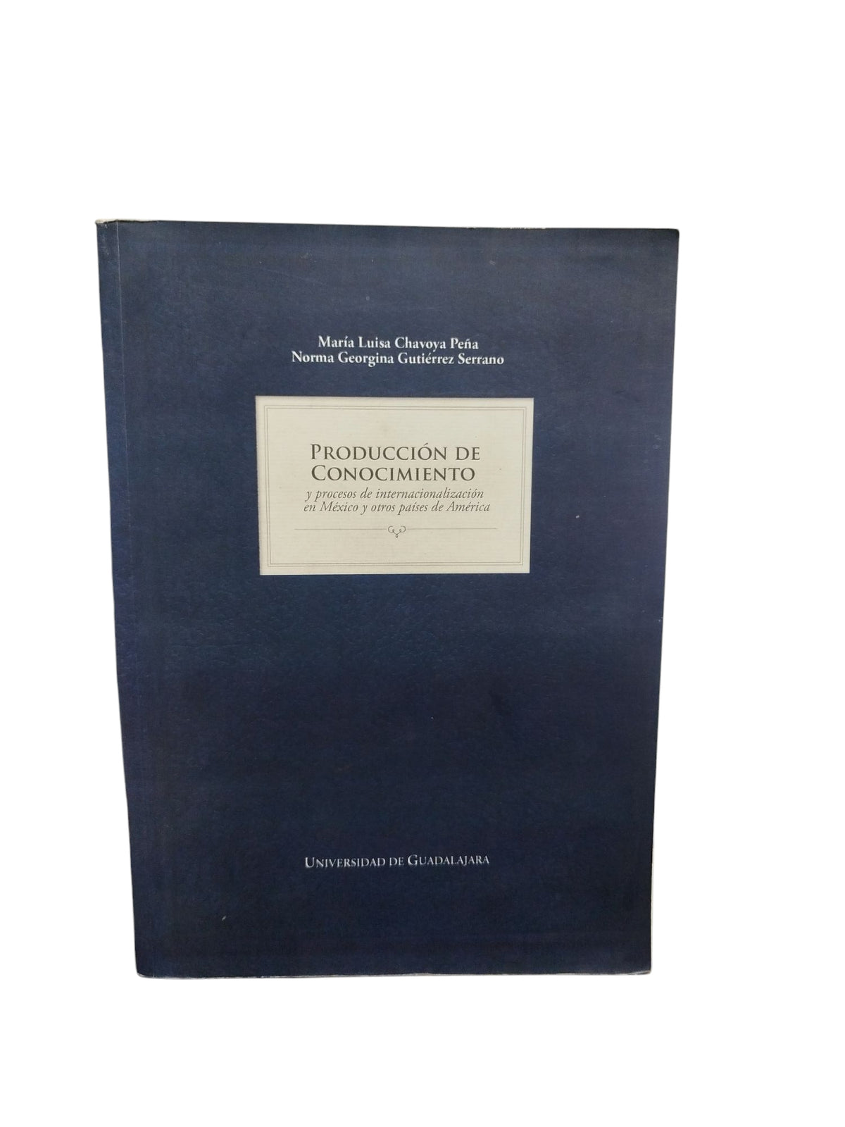 Producción de Conocimiento y procesos de internacionalización en México y otros países de América by María Luisa Chavoya Peña, Norma Georgina Gutiérrez Serrano