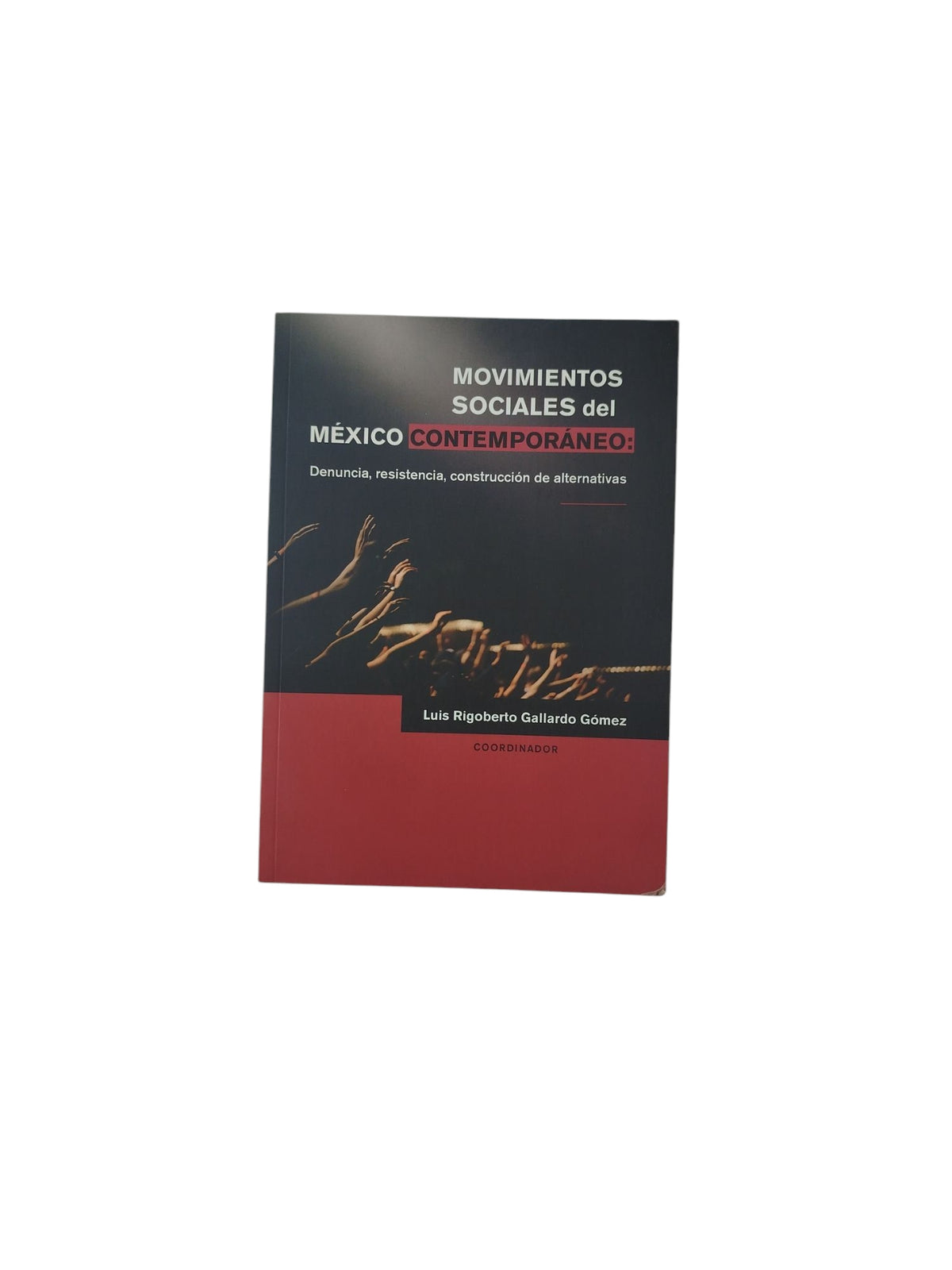 Movimientos Sociales del México Contemporáneo by Luis Rigoberto Gallardo Gómez