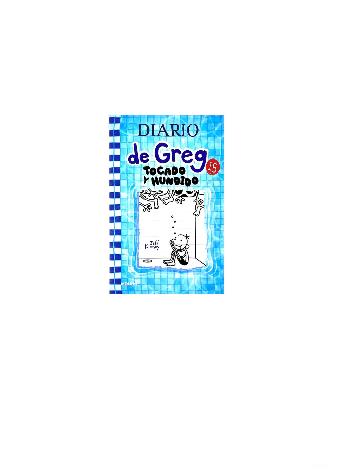 Diario de Greg 15 tocado y hundido