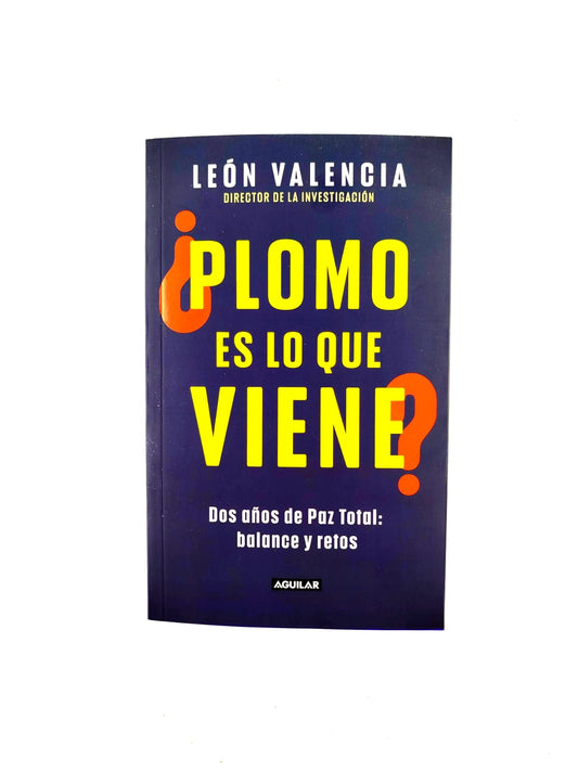 ¿Plomo es lo que viene? Dos años de paz total: balance y retos