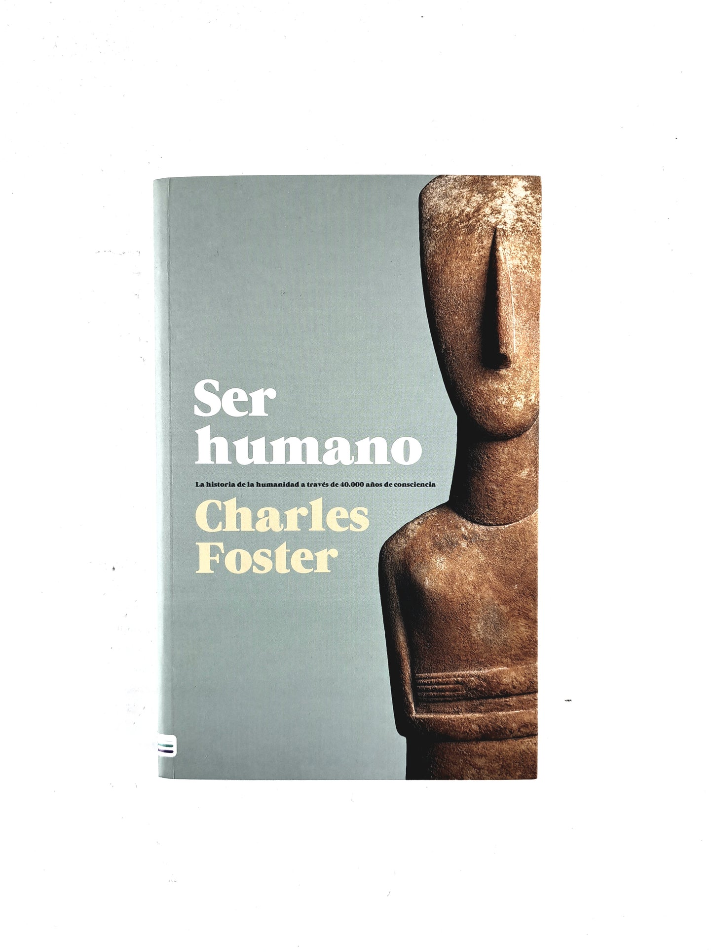 Ser humano la historia de la humanidad