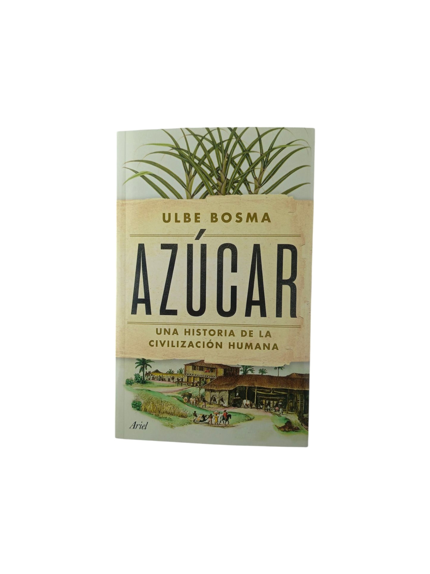 Azúcar una historia de la civilización humana