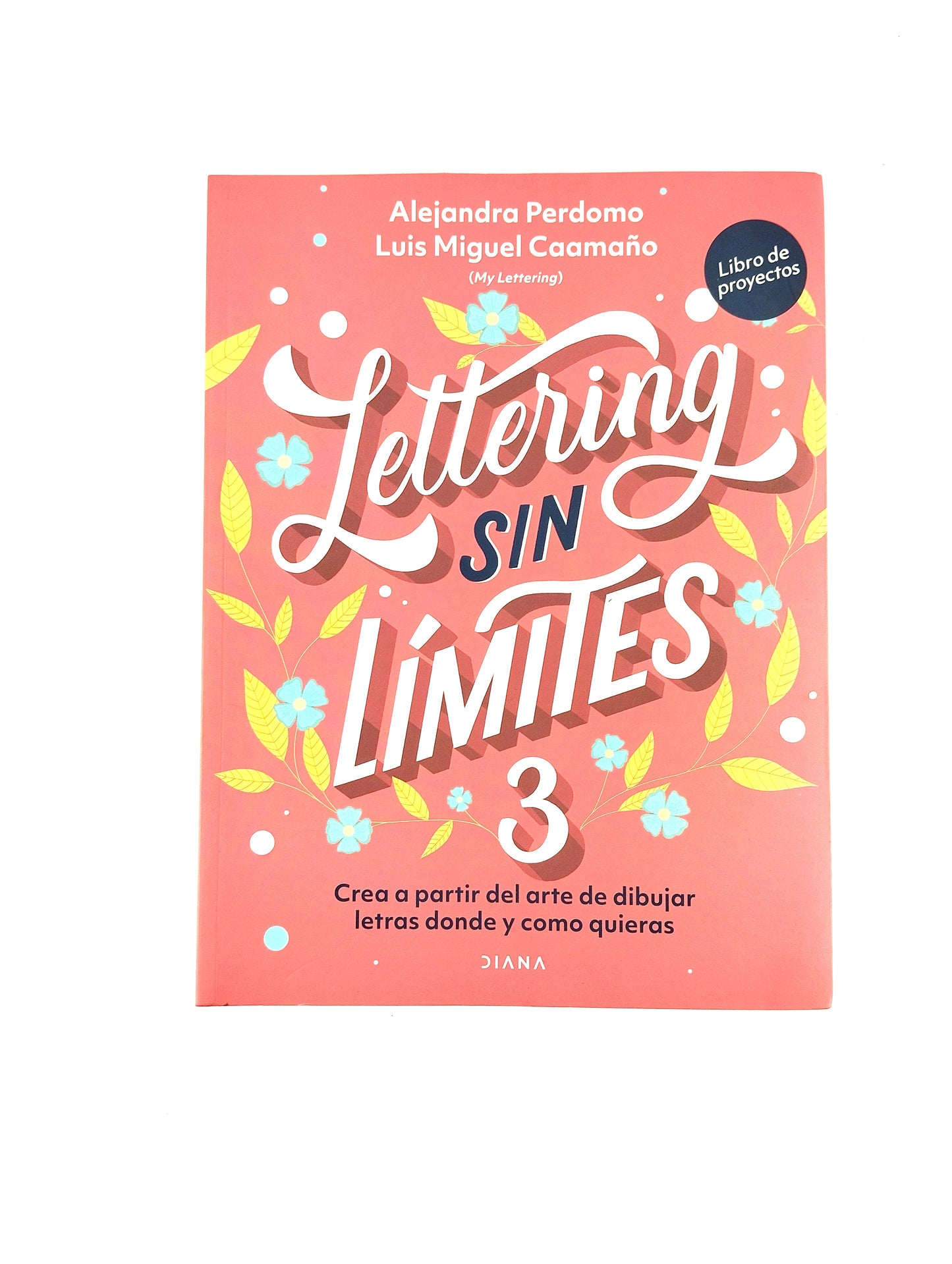 Lettering sin limites 3