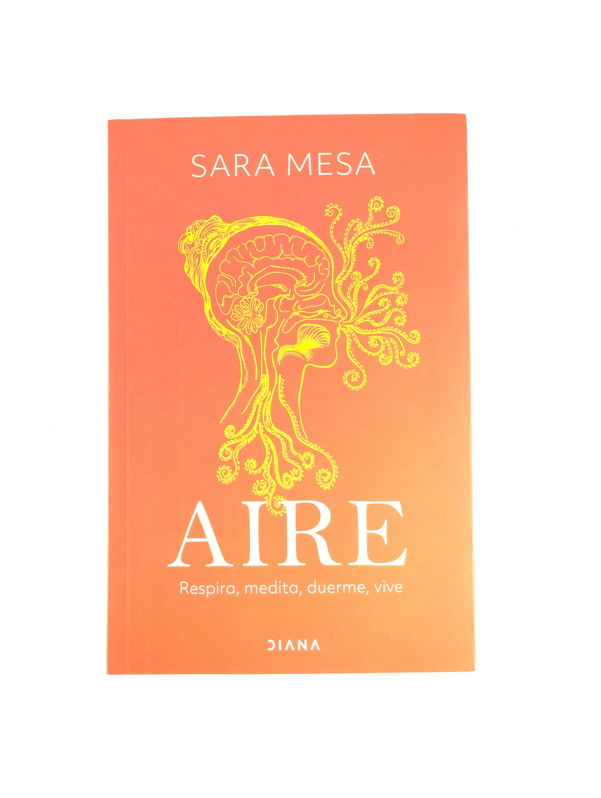 Aire by Sara Mesa