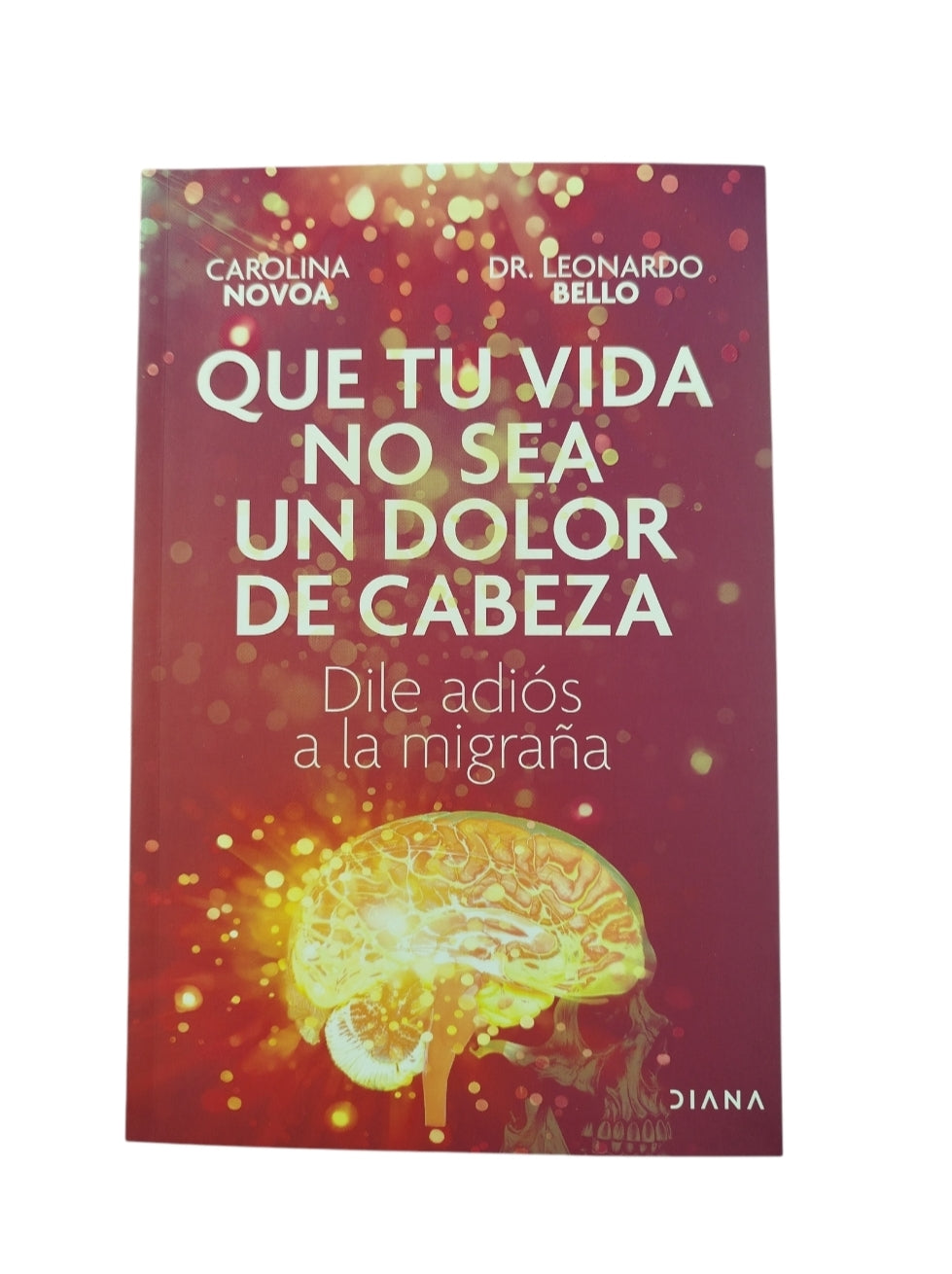 Que Tu Vida No Sea Un Dolor De Cabeza by Carolina Novoa