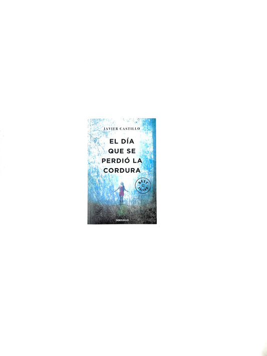 El día que se perdió la cordura by Javier Castillo