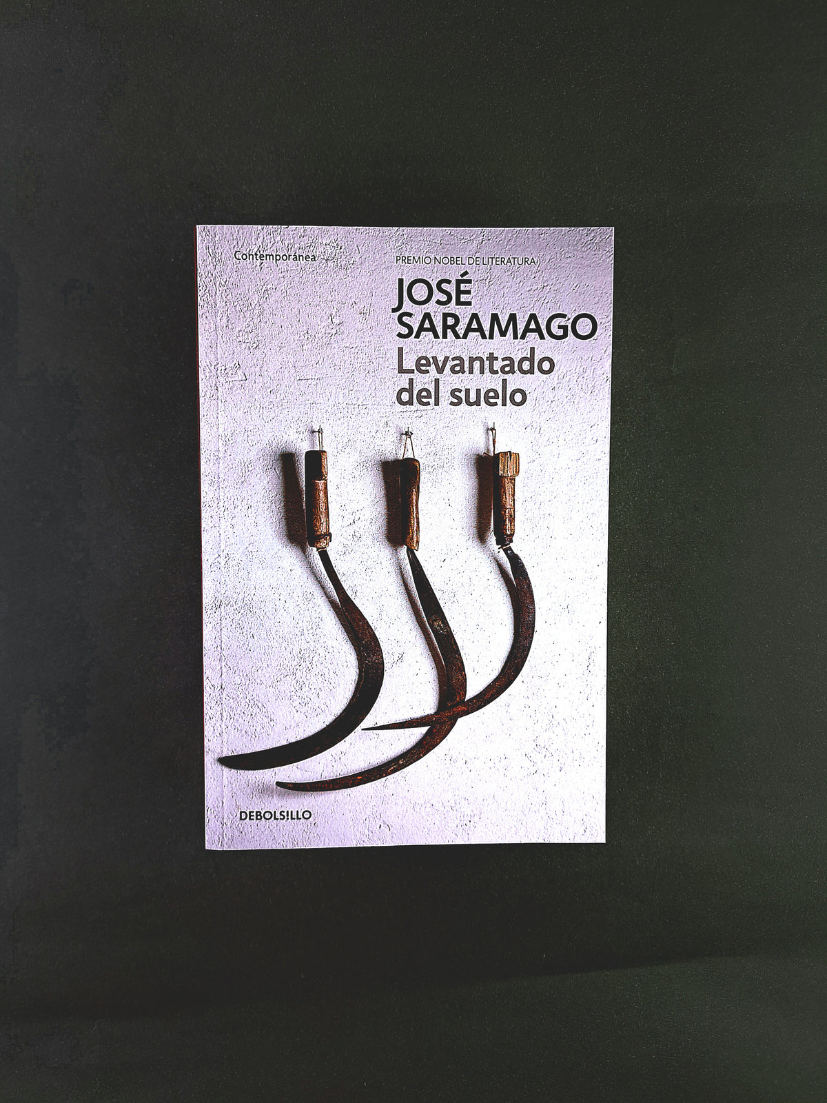 Levantado del suelo by José Saramago