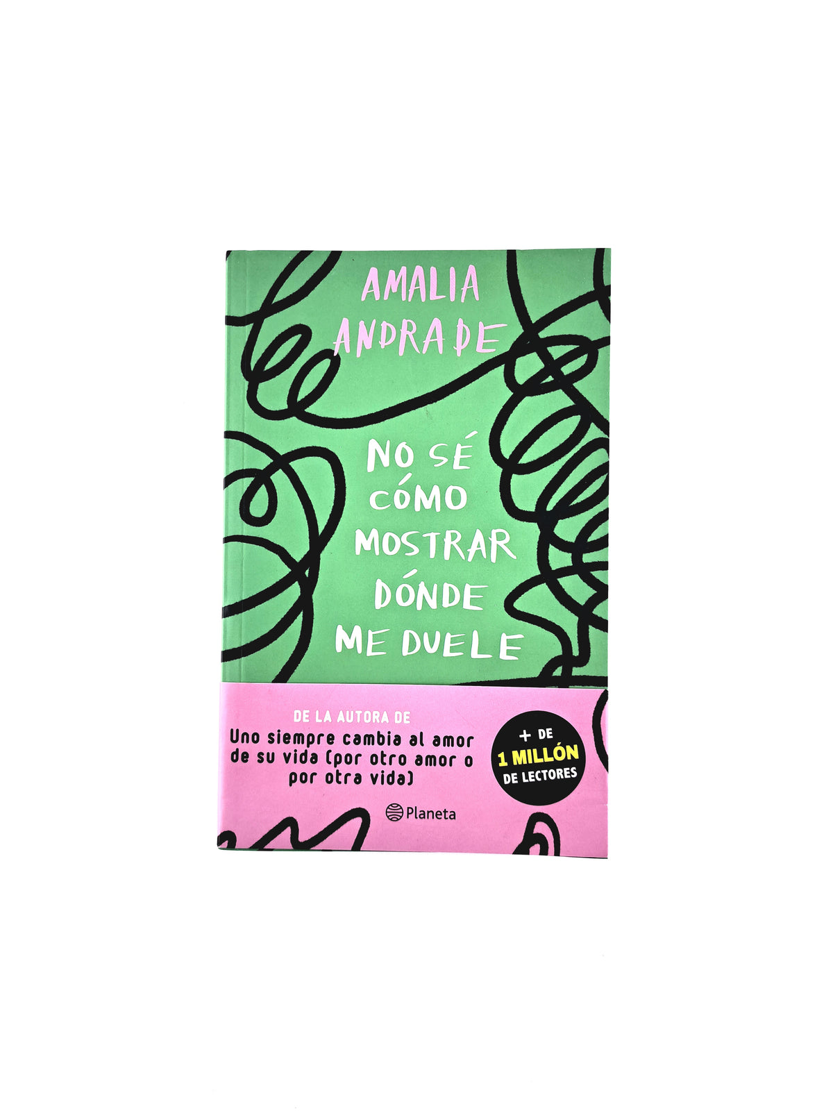 No sé cómo mostrar dónde me duele by Amalia Andrade