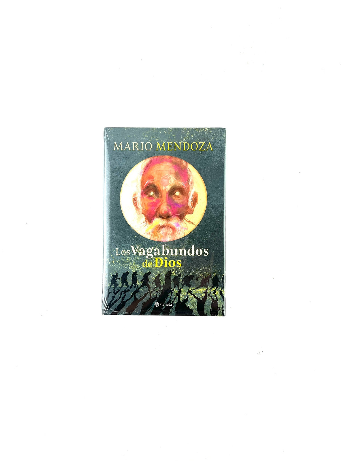 Los vagabundos de Dios by Mario Mendoza