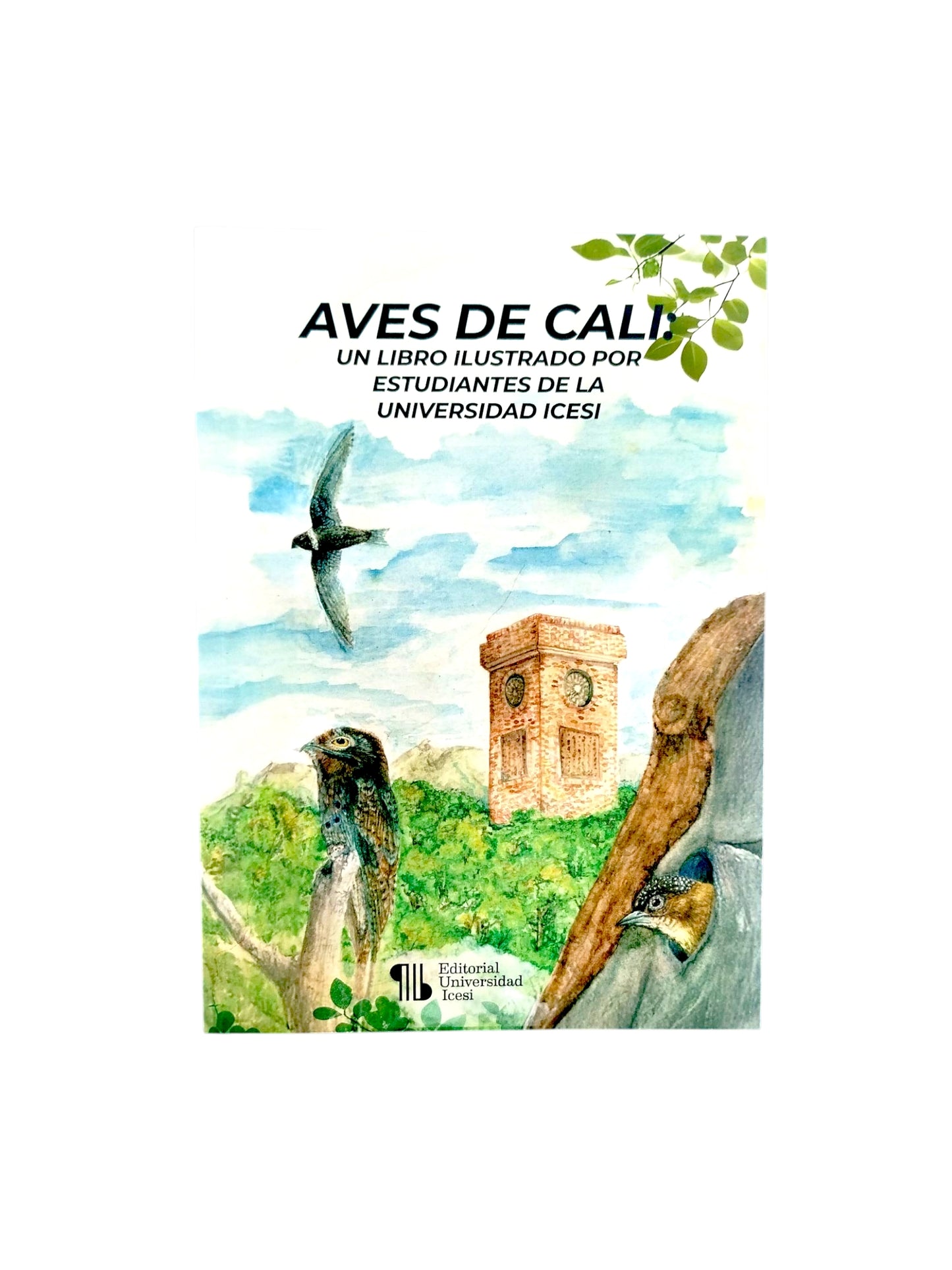 Aves de Cali un libro ilustrado por estudiantes de la universidad icesi