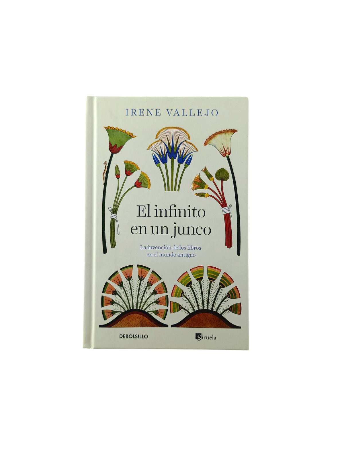 El infinito en un junco by Irene Vallejo