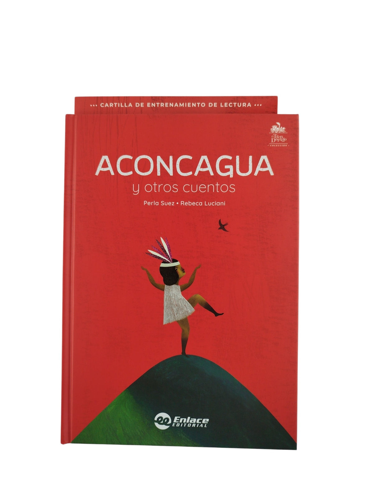 Aconcagua y otros cuentos kit by perla suez rebeca luciani
