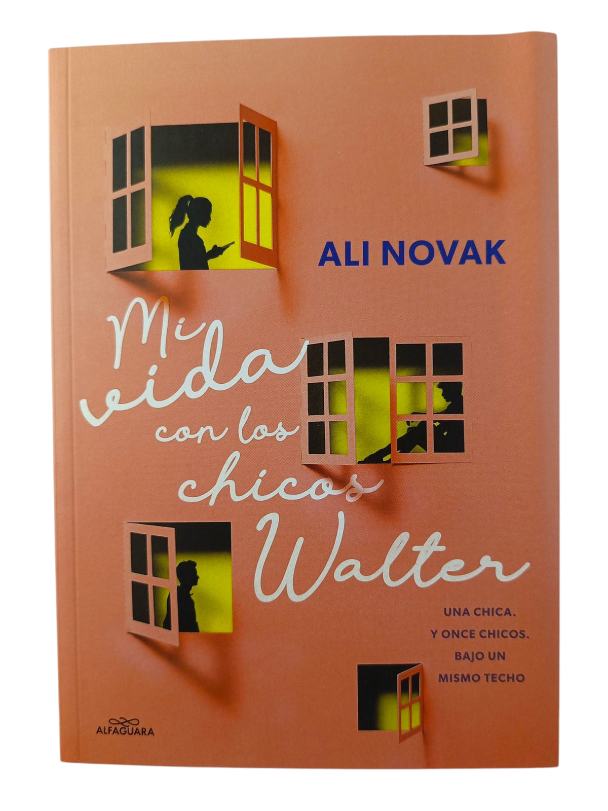 Mi vida con los chicos Walter by Ali Novak