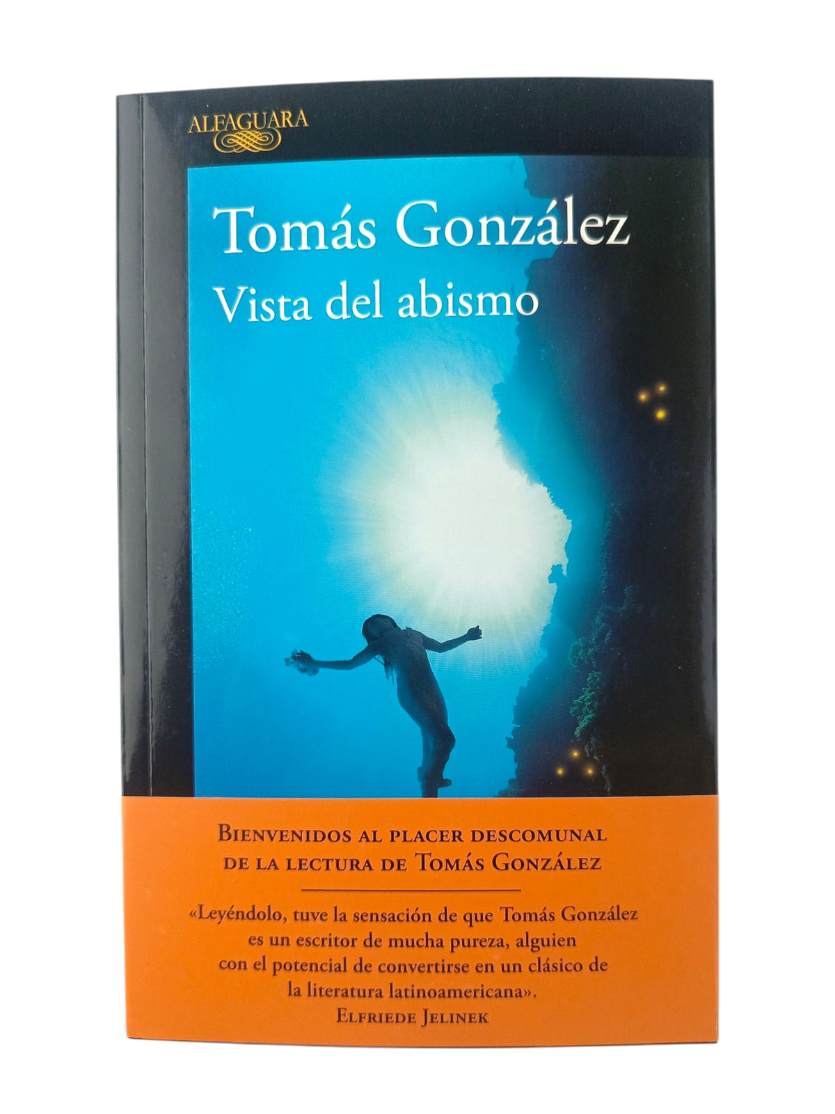 Vista del abismo by Tomás González