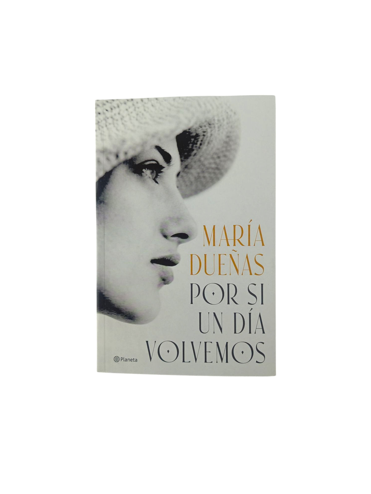 Por si un día volvemos by María Dueñas
