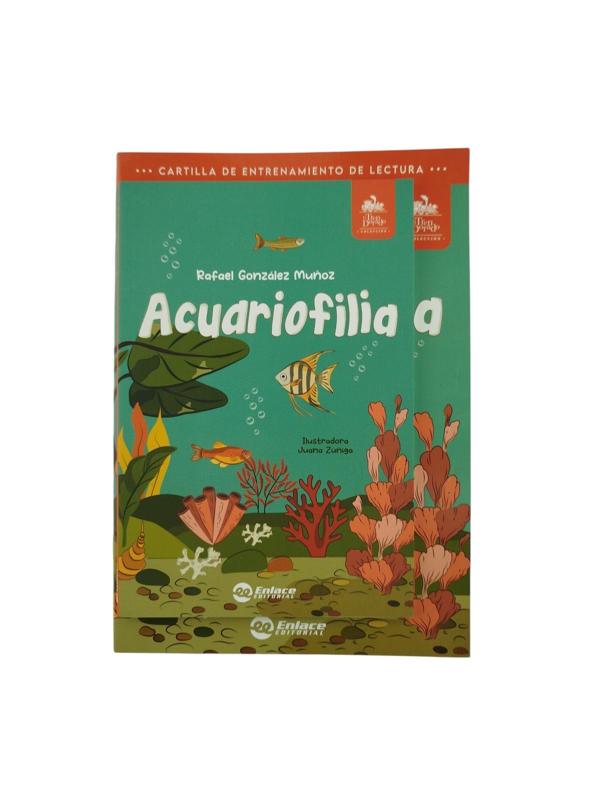 Acuariofilia kit by Rafael gonzáles muñoz