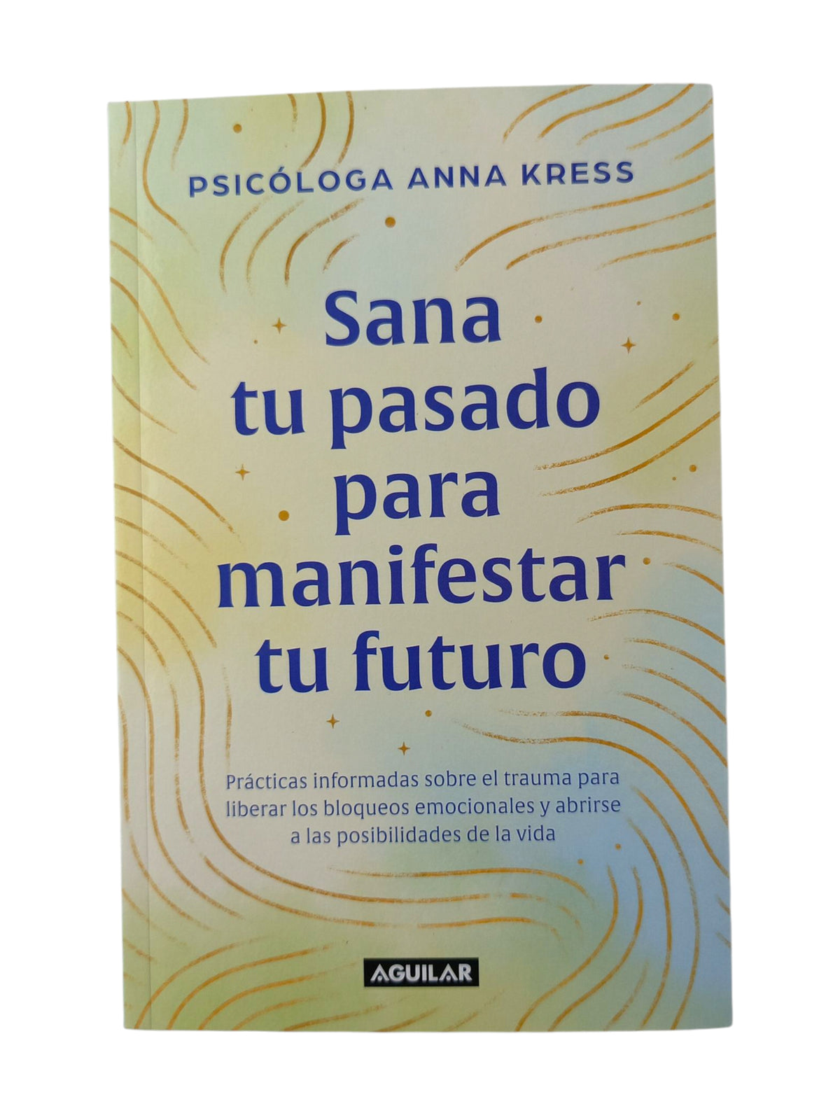 Sana tu pasado para manifestar tu futuro by Anna Kress