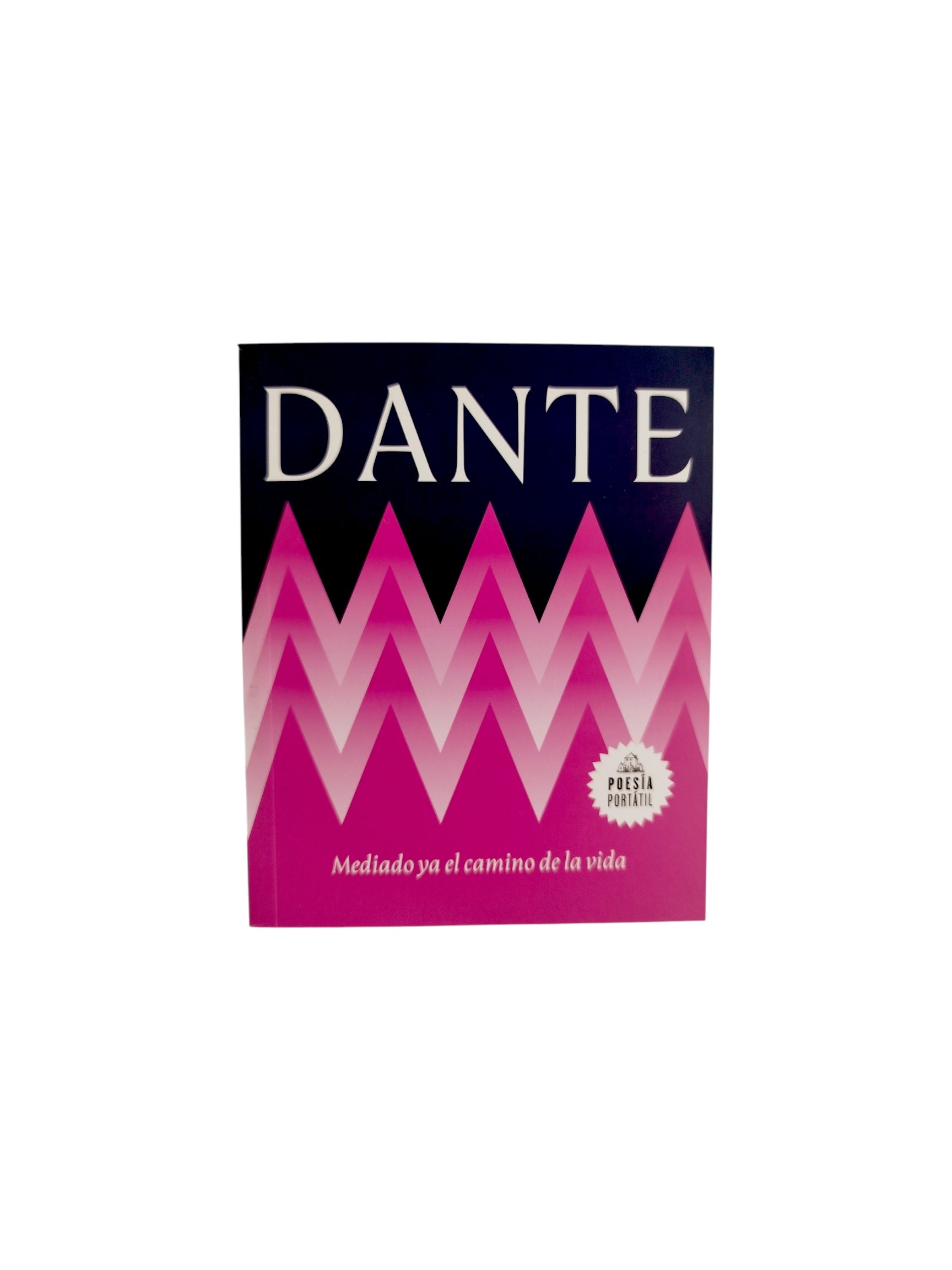 Mediado ya el camino de la vida by Dante Alighieri