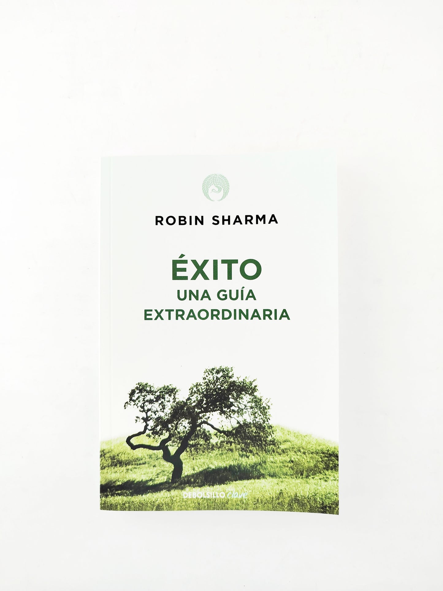 Éxito Una Guía Extraordinaria