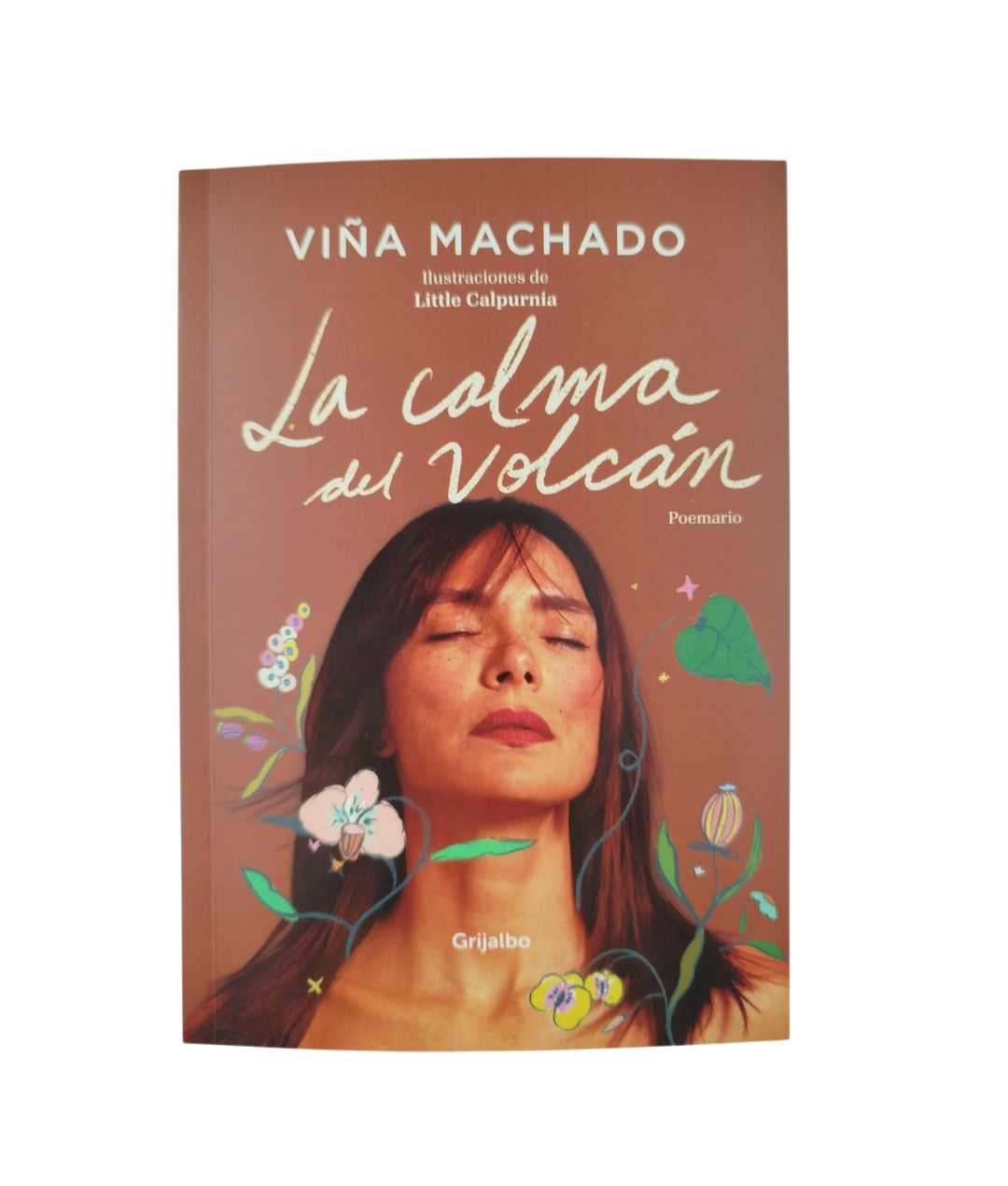 La calma del volcán by Viña Machado