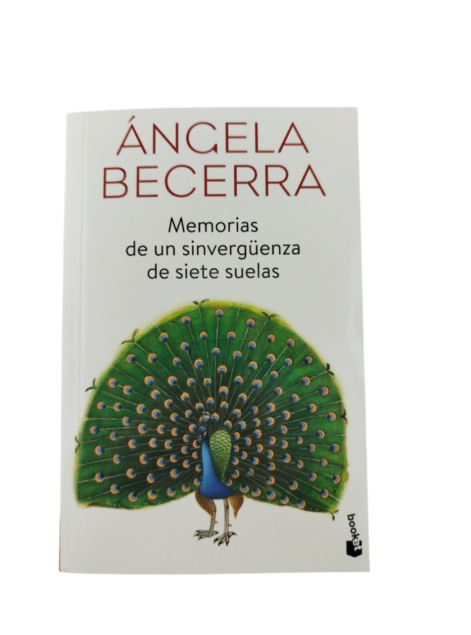 Memorias De Una Sinvergüenza De Siete suelas