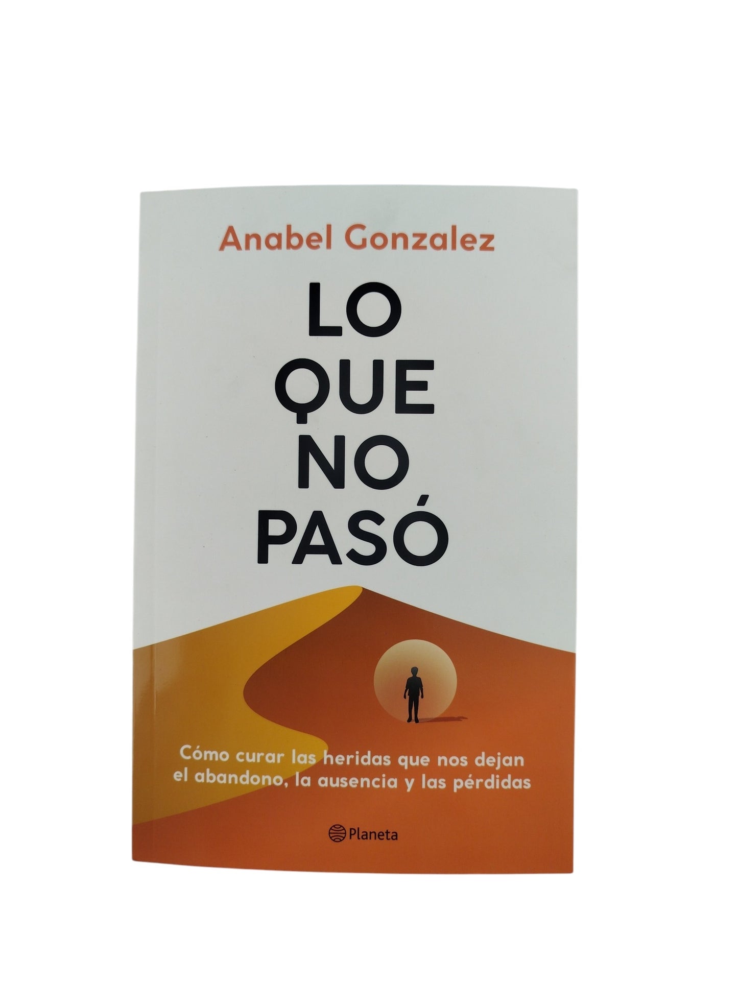 Lo que no pasó by Anabel Gonzalez
