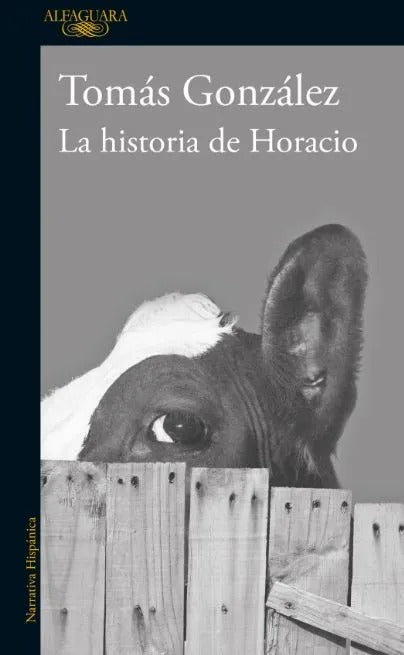 La Historia de Horacio by Tomás González