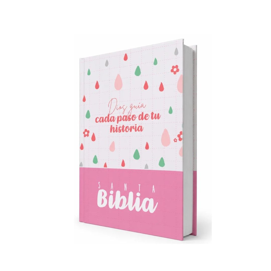 Biblia RVR 1960 letra grande rosada -blanco by Reina Valera 1960