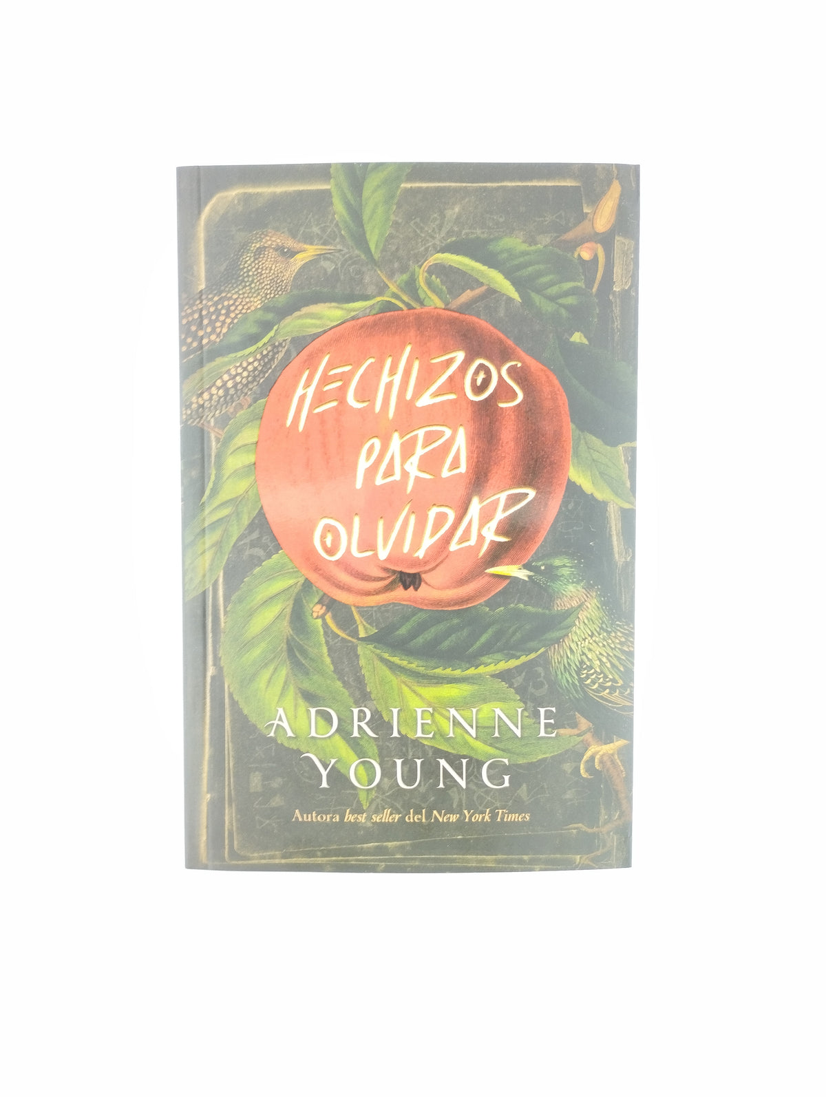 Hechizos para olvidar by Adrienne Young