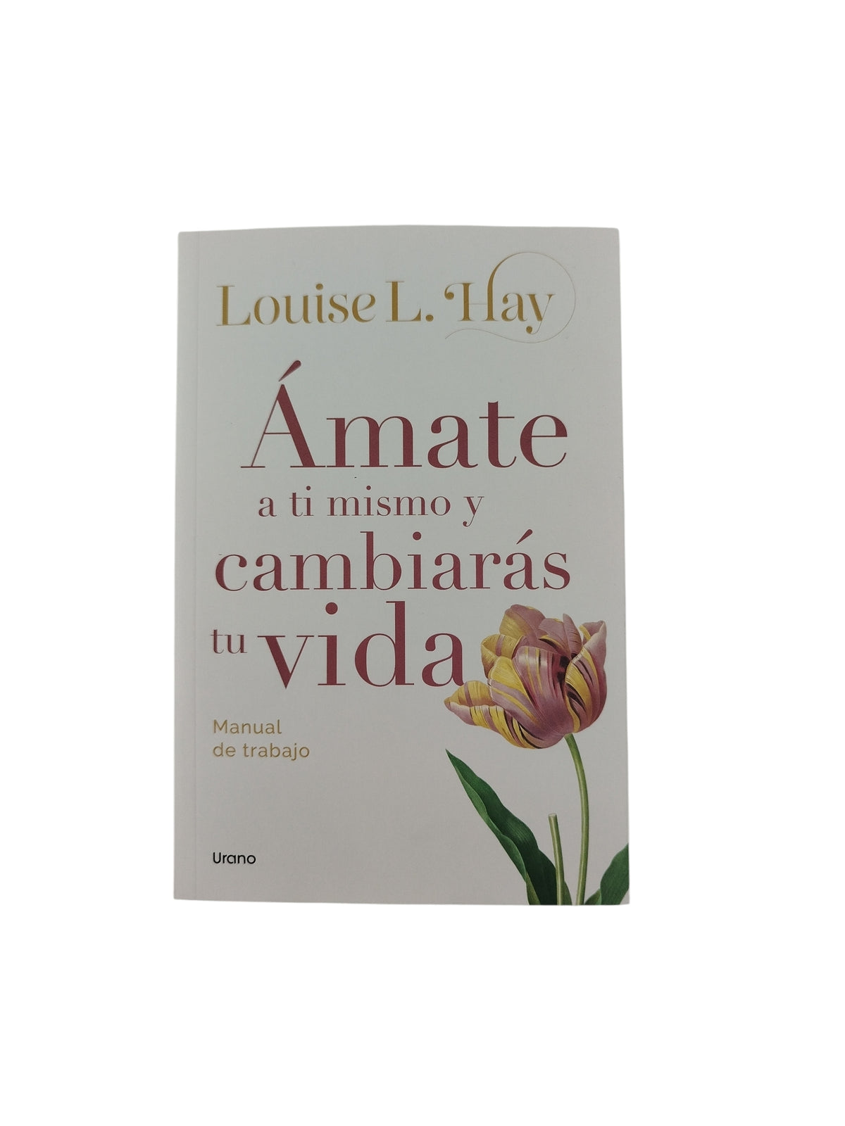 Ámate A Ti Mismo Y Cambiarás Tu Vida by Louise L Hay