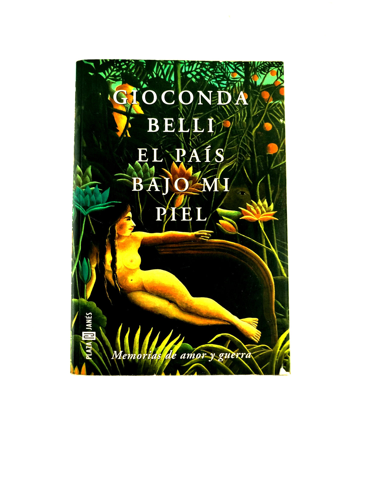 El País bajo mi piel by Gioconda Belli