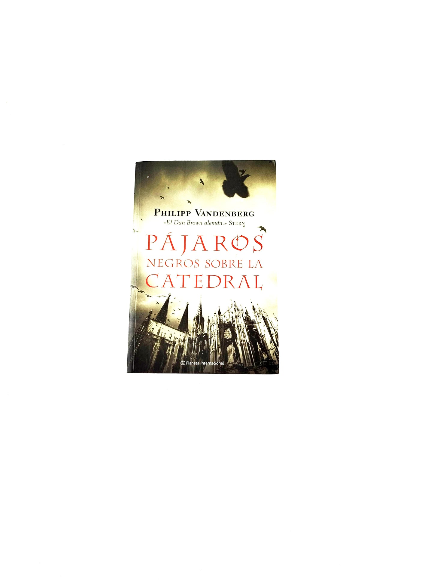 Pájaros negros sobre la catedral