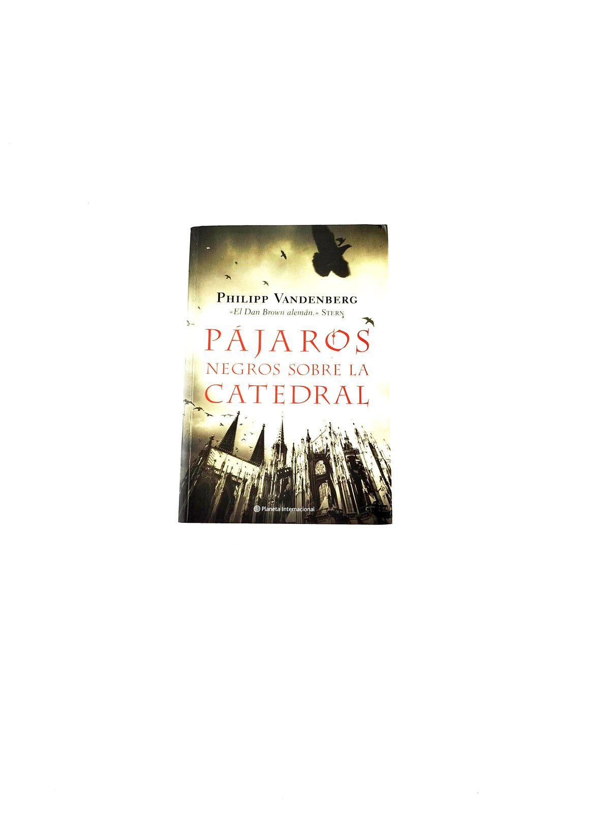 Pájaros negros sobre la catedral by Philipp Vandenberg