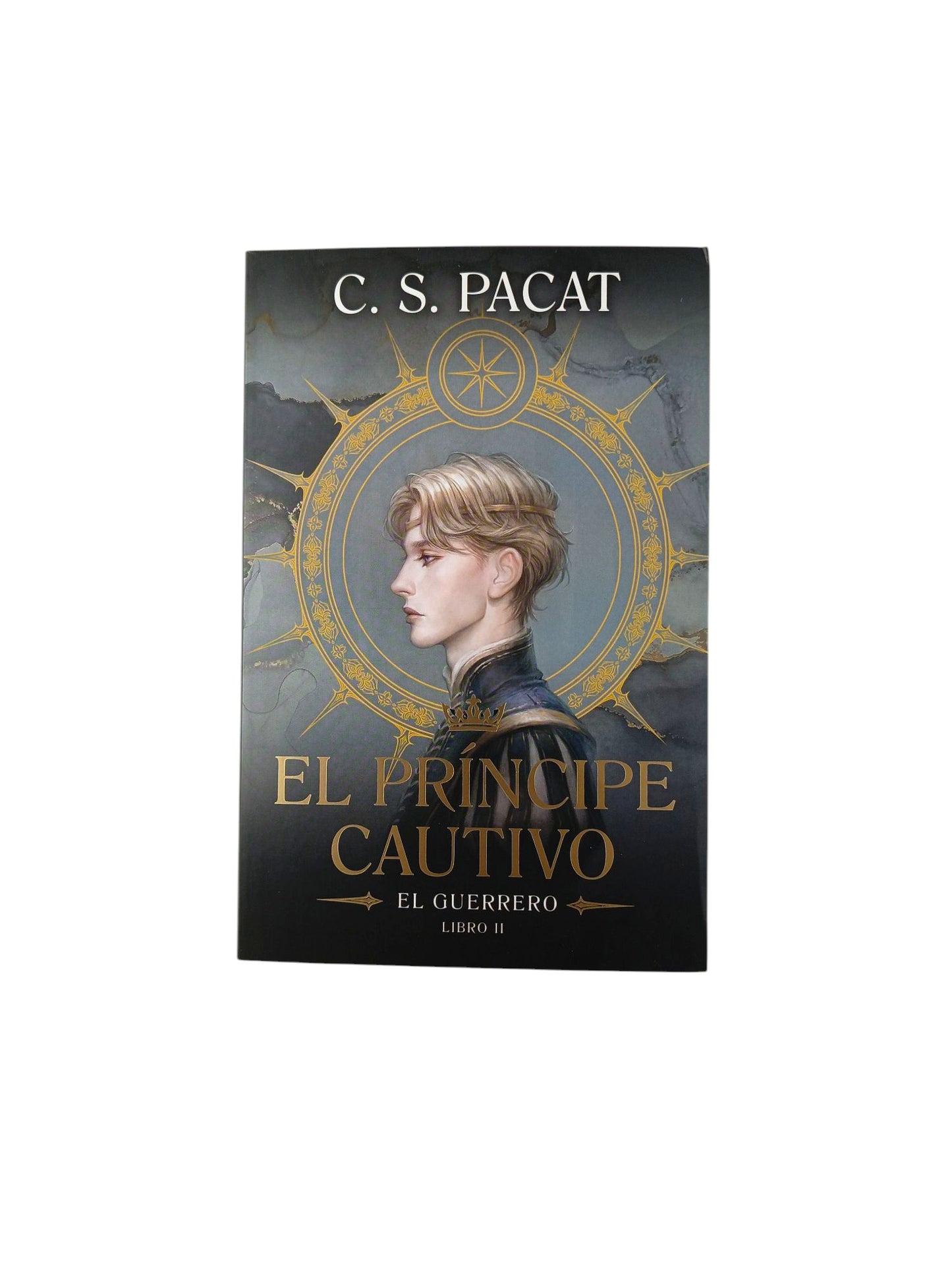 El príncipe cautivo: El guerrero libro 2